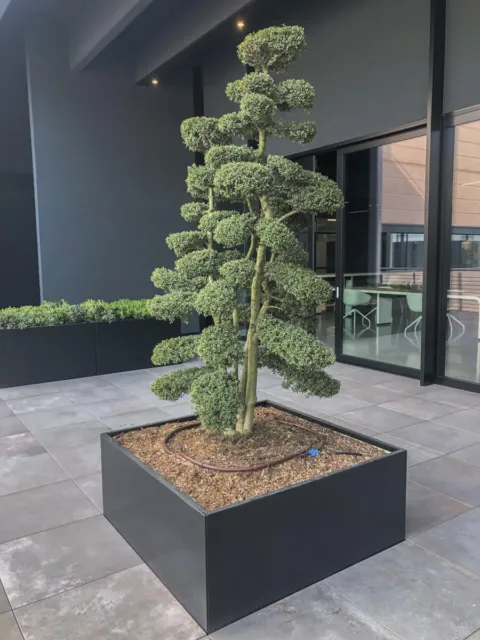 Pangea progetti unox 25