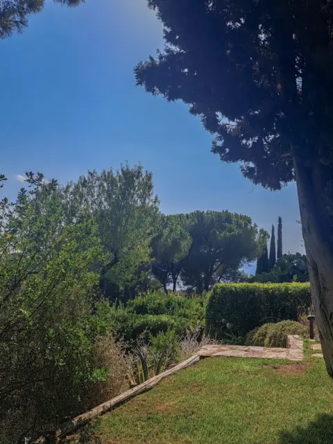 Pangea progetti villa singola con giardino capoliveri 12