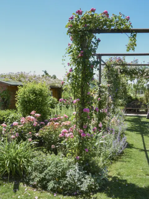 Pangea progetti giardino ampio 9 2