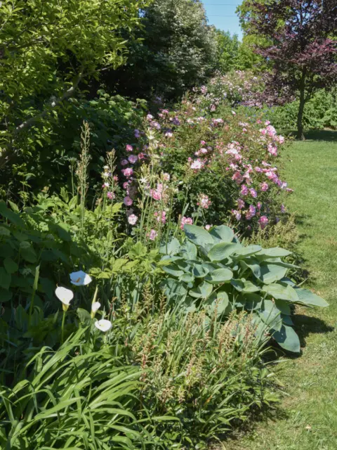 Pangea progetti giardino ampio 2