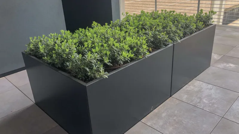 Pangea progetti unox 26