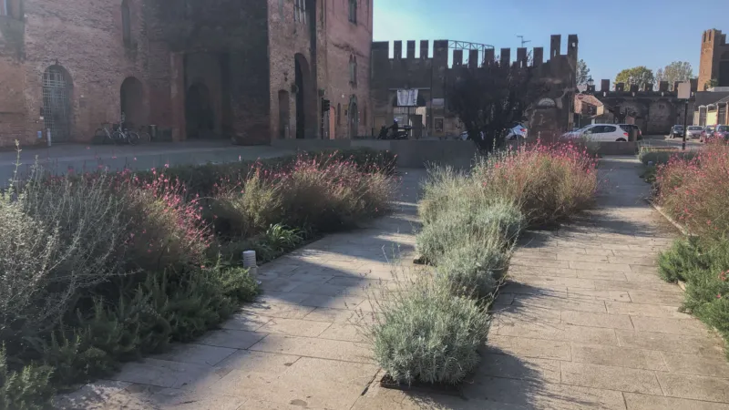 Pangeaprogetti montagnana 7