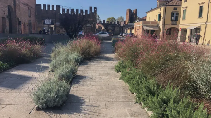 Pangeaprogetti montagnana 8
