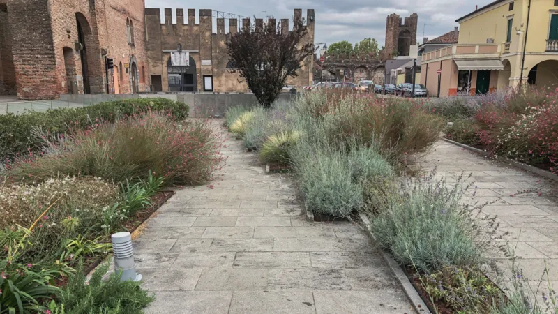 Pangeaprogetti montagnana 16