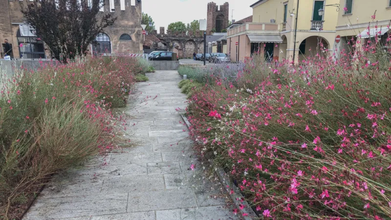 Pangeaprogetti montagnana 17