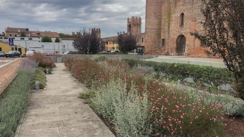 Pangeaprogetti montagnana 18