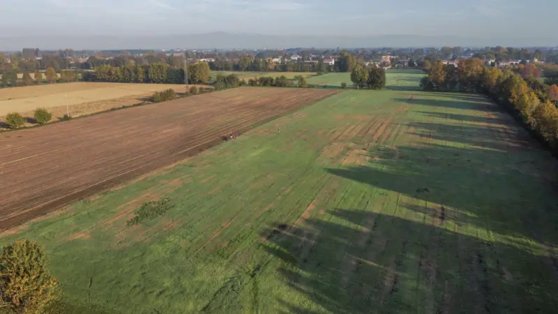 Pangea progetti bosco di pianura 5