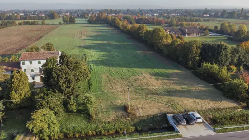 Pangea progetti bosco di pianura 6