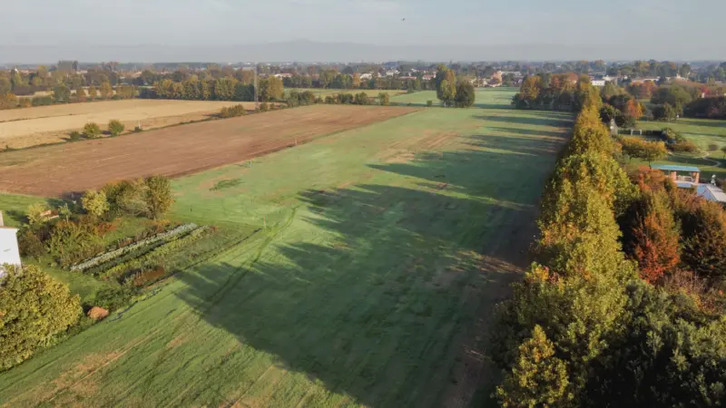 Pangea progetti bosco di pianura 7