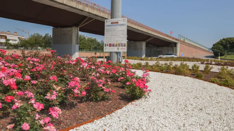 Pangea progetti rotatorie cittadella 2