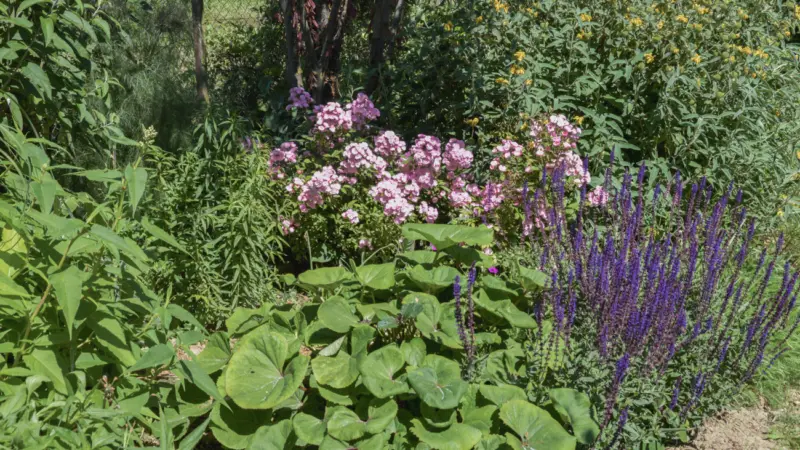 Pangea progetti giardino ampio 7 2