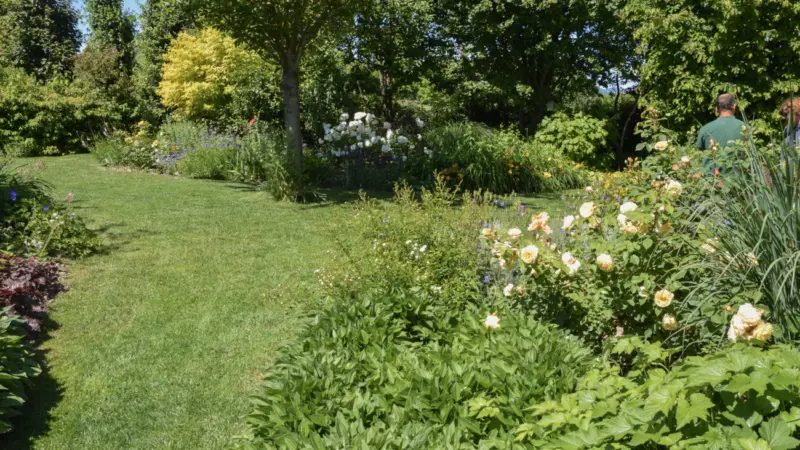 Pangea progetti giardino ampio 2 2