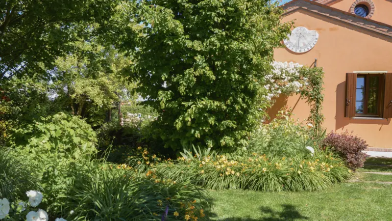 Pangea progetti giardino ampio 4