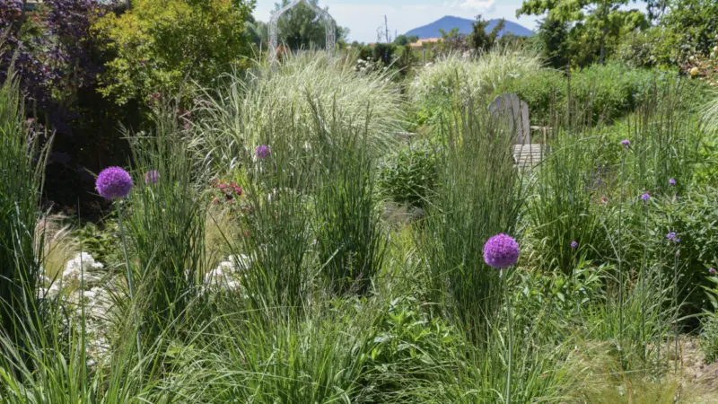 Pangea progetti giardino ampio 13