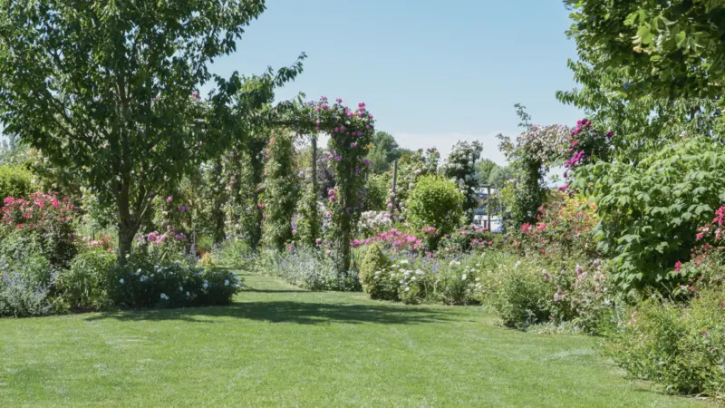 Pangea progetti giardino ampio 12