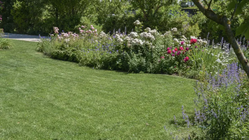 Pangea progetti giardino ampio 11